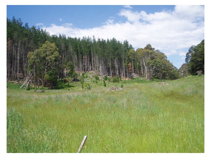 2756 Caveside Road, Mole Creek TAS 7304