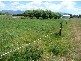 Jones Street, Chudleigh TAS 7304