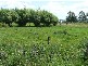 Jones Street, Chudleigh TAS 7304