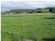 20 Den Road, Mole Creek TAS 7304