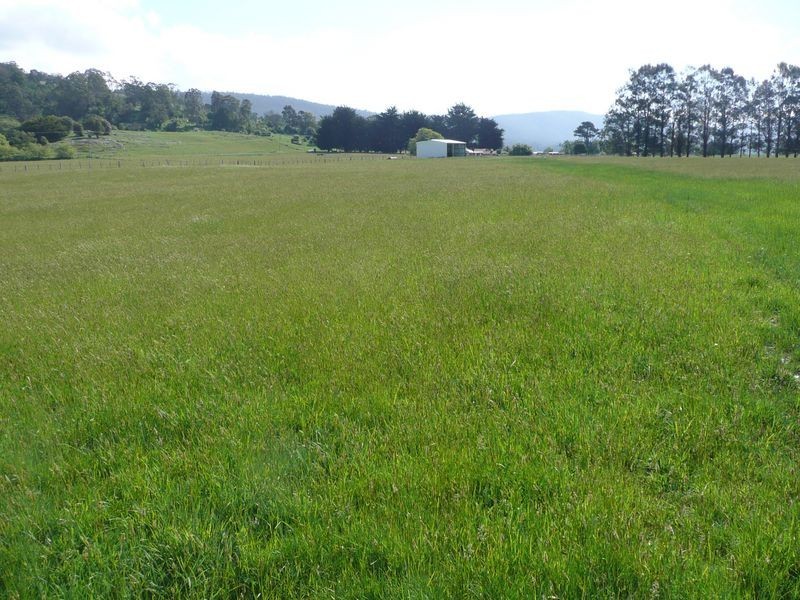 20 Den Road, Mole Creek TAS 7304