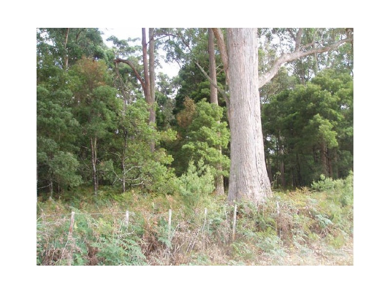 Boxhalls Road, Meander TAS 7304
