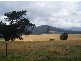 Boxhalls Road, Meander TAS 7304
