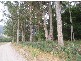 Boxhalls Road, Meander TAS 7304
