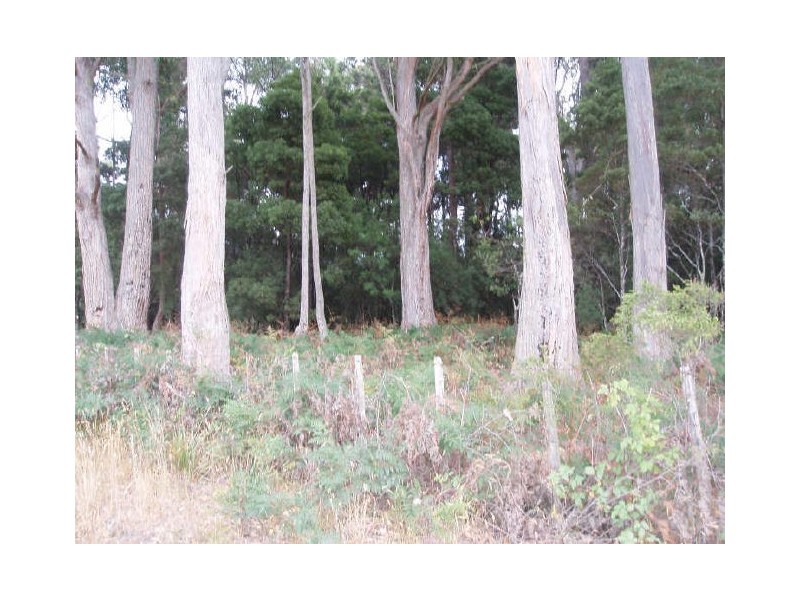 Boxhalls Road, Meander TAS 7304