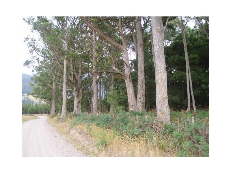 Boxhalls Road, Meander TAS 7304
