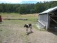 2 Pioneer Drive, Mole Creek TAS 7304