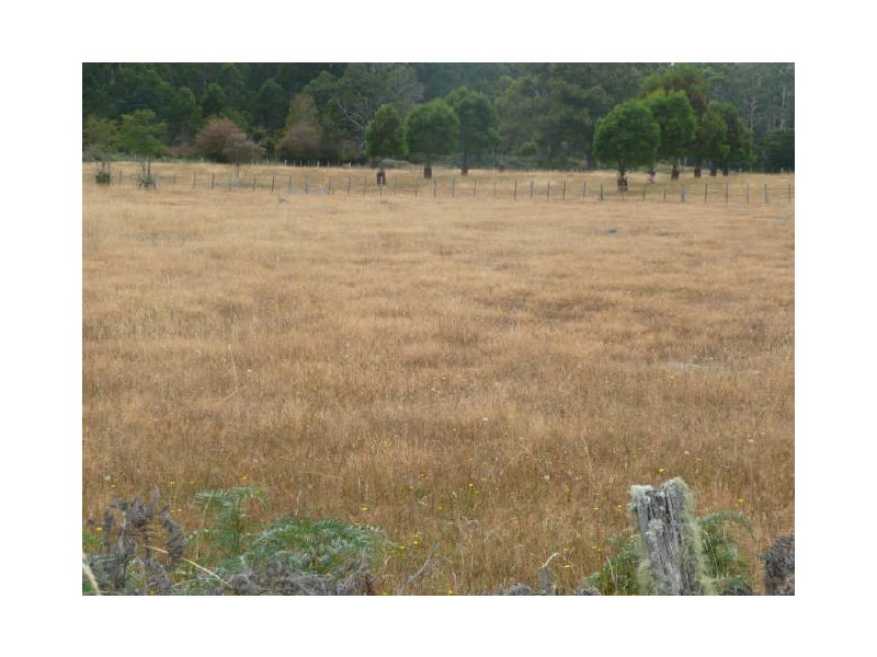 Samuel Street, Elizabeth Town TAS 7304