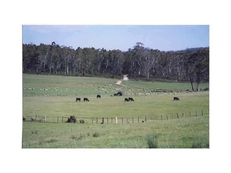 114 Kellys Road, Reedy Marsh TAS 7304