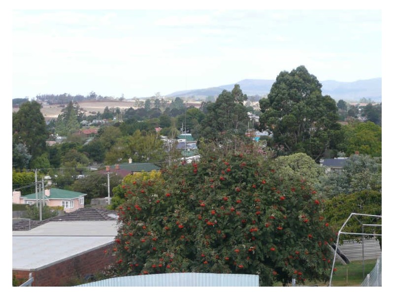 12 Quamby Court, Deloraine TAS 7304