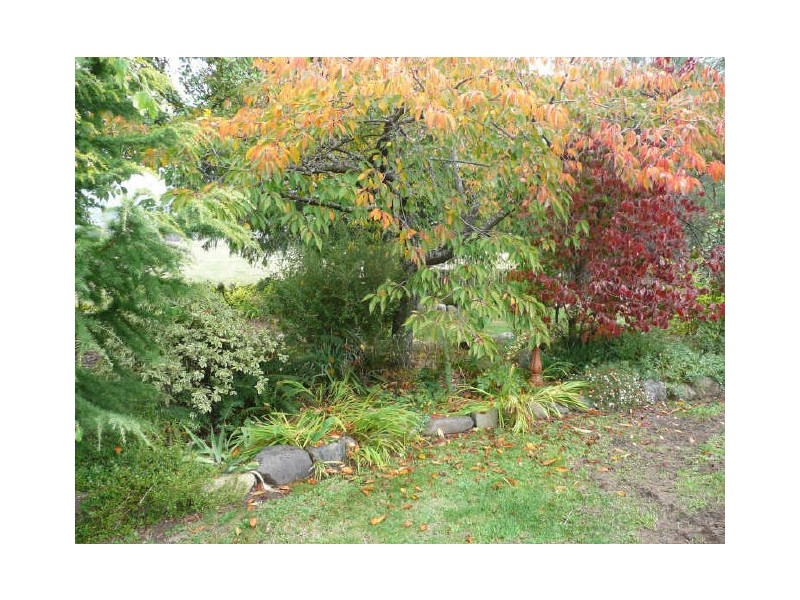 58 Caveside Road, Mole Creek TAS 7304