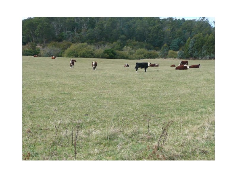 20 Den Road, Mole Creek TAS 7304