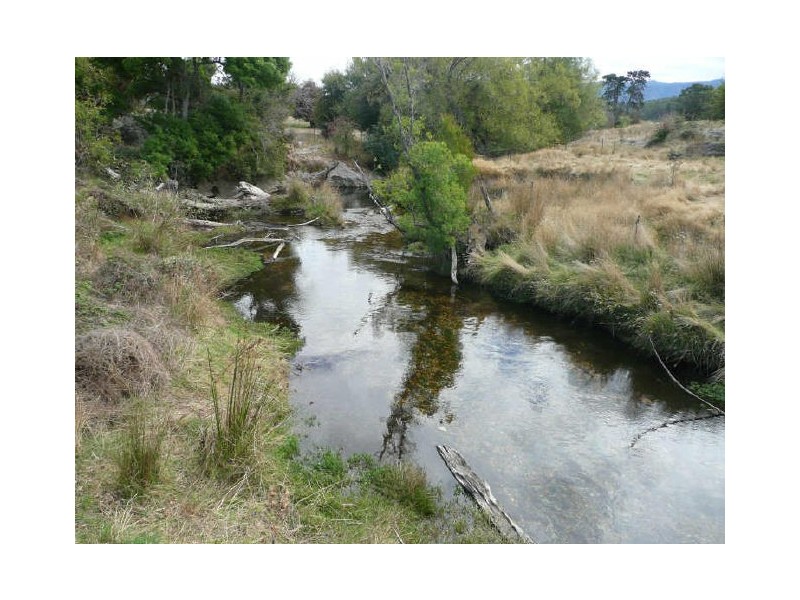 20 Den Road, Mole Creek TAS 7304