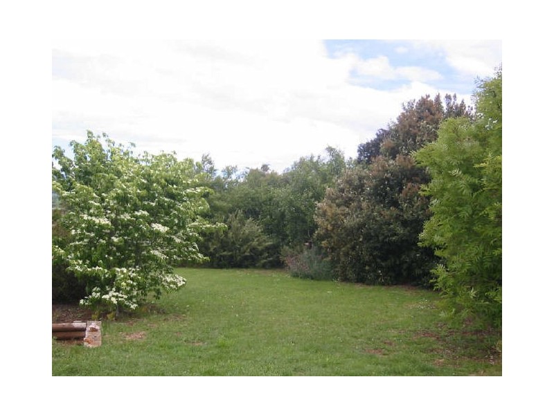 126 West Goderich Streeet, Deloraine TAS 7304