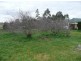 879 Weegena Road, Weegena TAS 7304