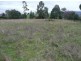 879 Weegena Road, Weegena TAS 7304