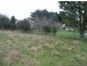 879 Weegena Road, Weegena TAS 7304