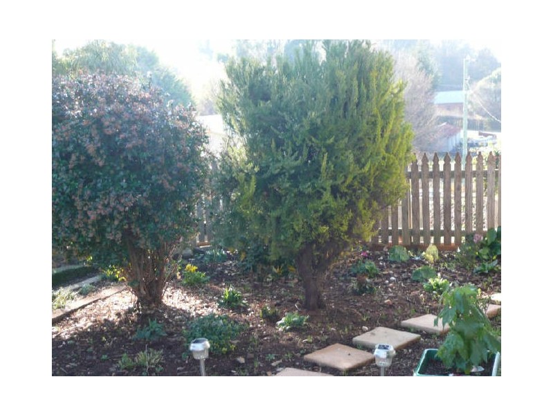 13 West Barrack Street, Deloraine TAS 7304