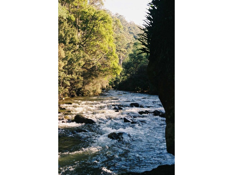 Gulf Road, Liffey TAS 7301