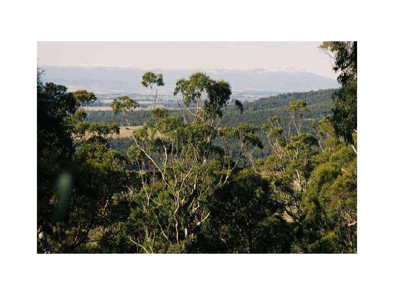 Gulf Road, Liffey TAS 7301