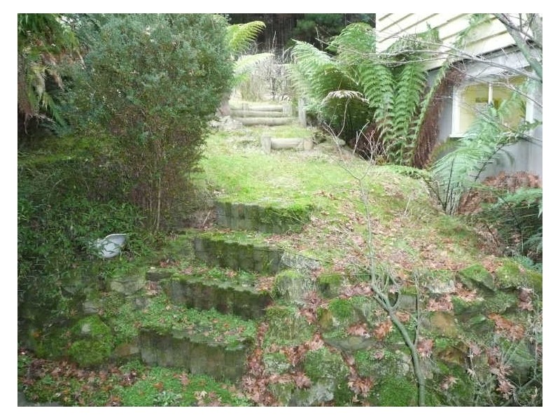 13101 Highland Lakes Road, Golden Valley TAS 7304