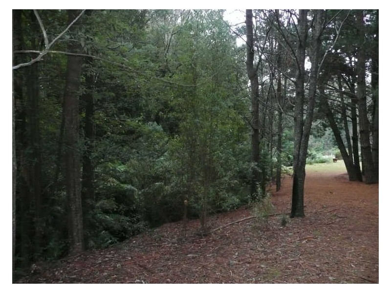 13101 Highland Lakes Road, Golden Valley TAS 7304