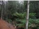 13101 Highland Lakes Road, Golden Valley TAS 7304