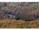 13101 Highland Lakes Road, Golden Valley TAS 7304