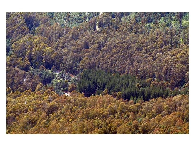 13101 Highland Lakes Road, Golden Valley TAS 7304