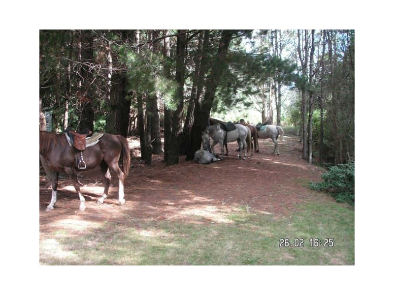 13101 Highland Lakes Road, Golden Valley TAS 7304