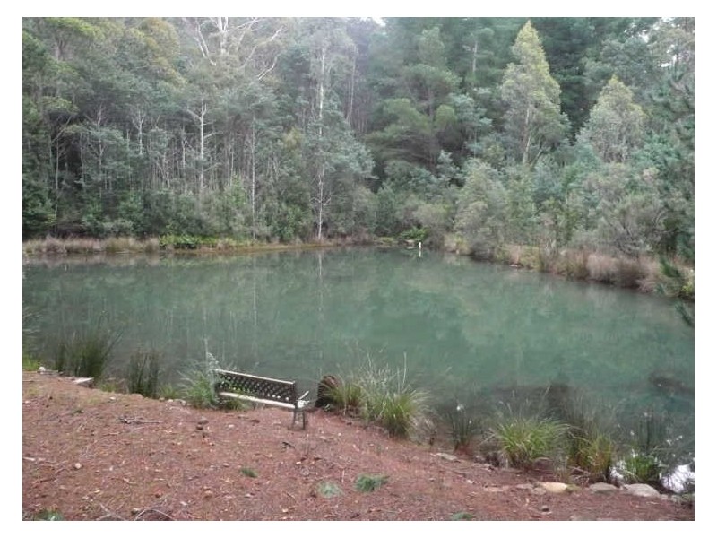 13101 Highland Lakes Road, Golden Valley TAS 7304