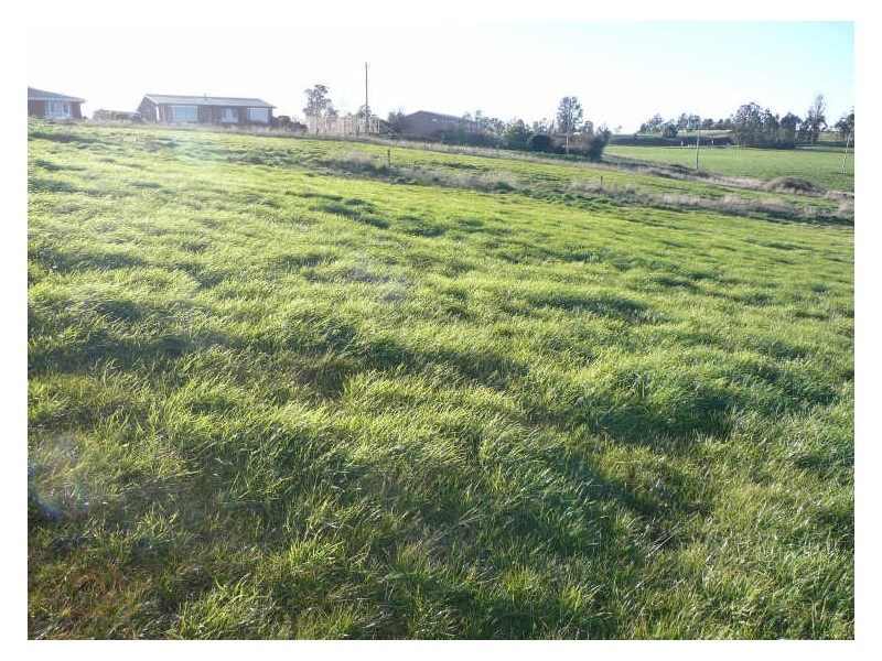 12/ Winter Street, Deloraine TAS 7304