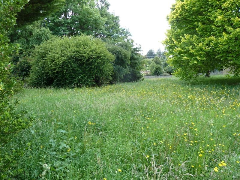 7 Bonney Street, Deloraine TAS 7304