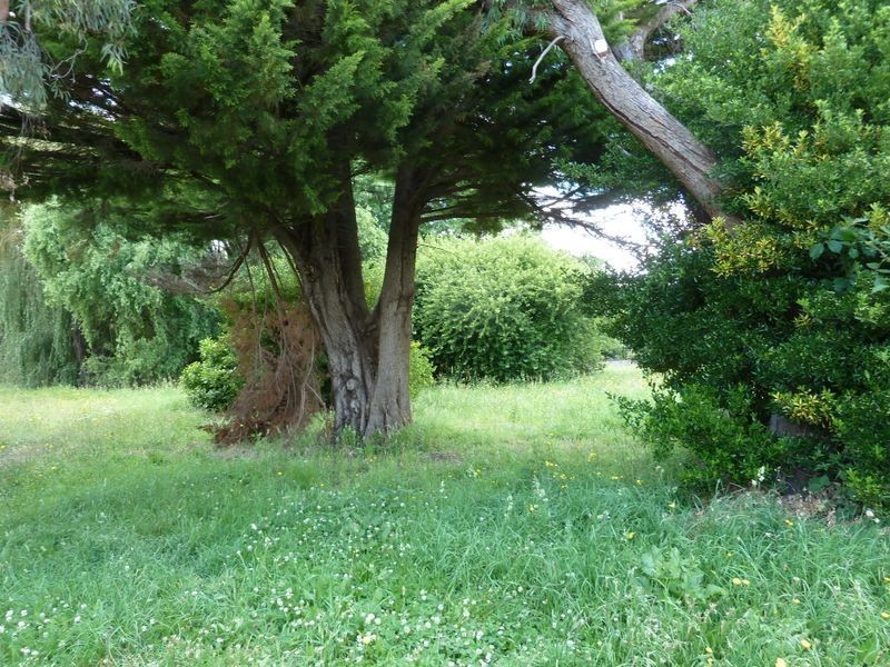 7 Bonney Street, Deloraine TAS 7304