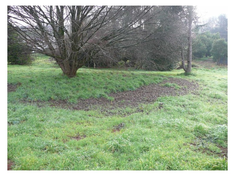 7 Bonney Street, Deloraine TAS 7304