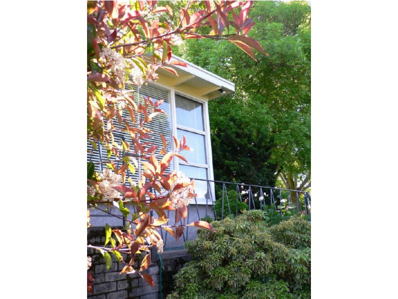 7 Quamby Court, Deloraine TAS 7304