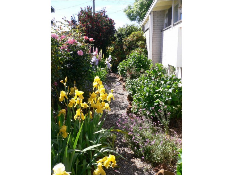 7 Quamby Court, Deloraine TAS 7304