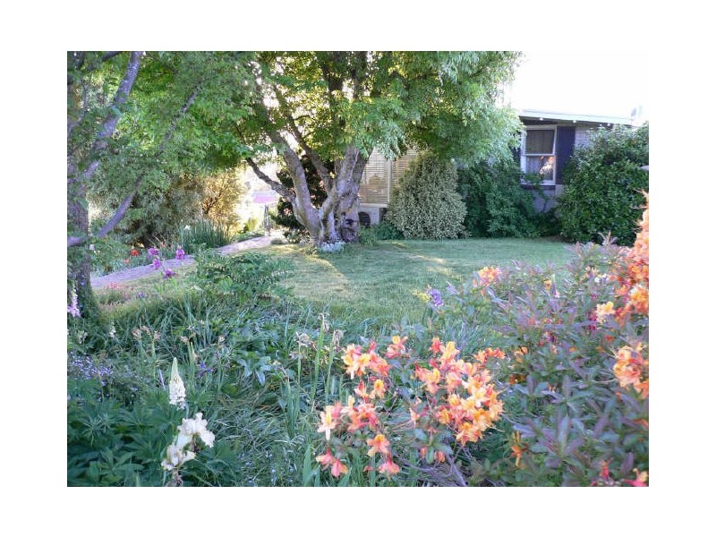 7 Quamby Court, Deloraine TAS 7304