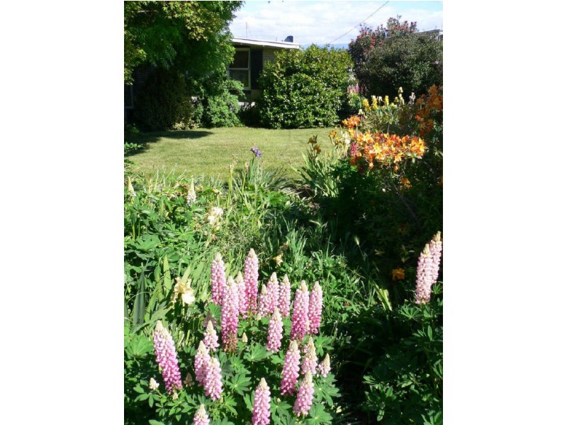 7 Quamby Court, Deloraine TAS 7304