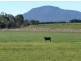 120 Bankton Road, Dairy Plains TAS 7304