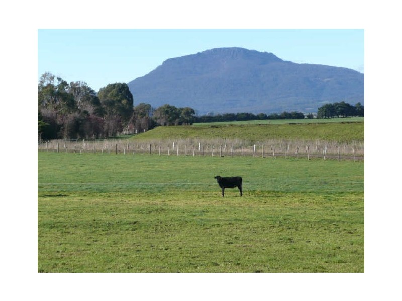 120 Bankton Road, Dairy Plains TAS 7304