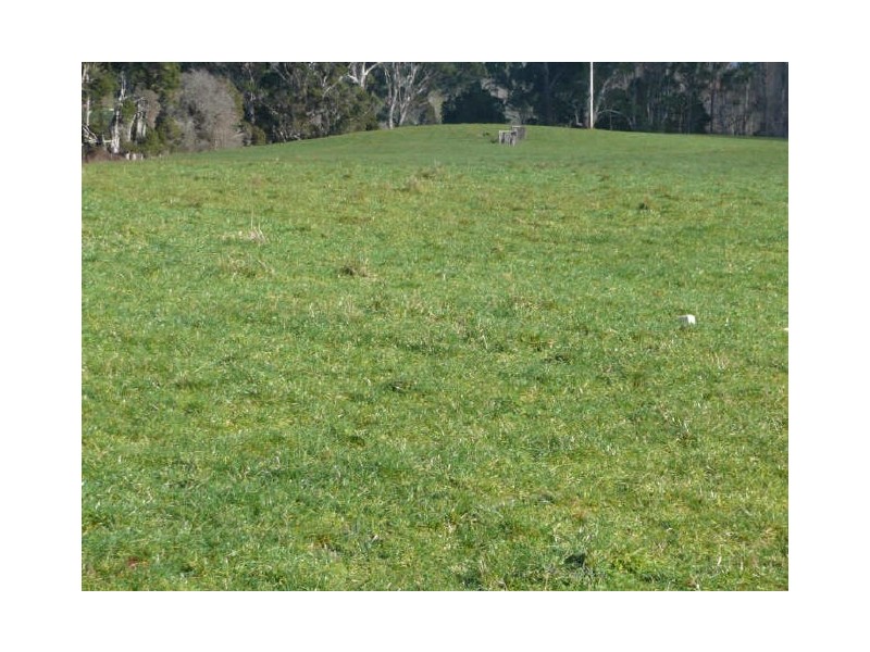 5271 Bass Highway, Deloraine TAS 7304