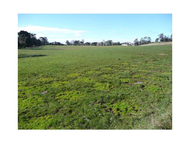 5271 Bass Highway, Deloraine TAS 7304