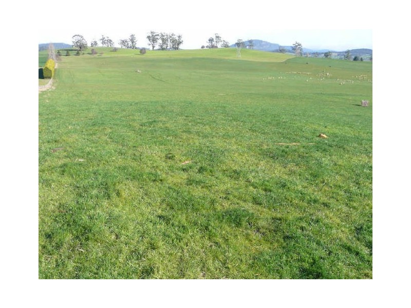 5271 Bass Highway, Deloraine TAS 7304