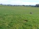 5271 Bass Highway, Deloraine TAS 7304