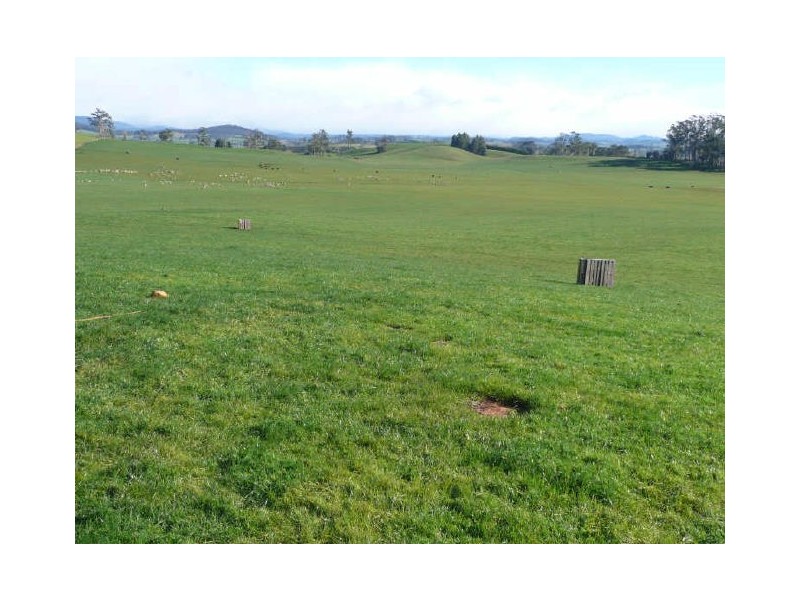 5271 Bass Highway, Deloraine TAS 7304