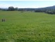 5271 Bass Highway, Deloraine TAS 7304