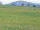 5271 Bass Highway, Deloraine TAS 7304
