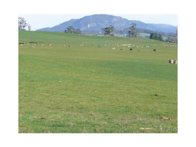 5271 Bass Highway, Deloraine TAS 7304