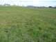 5271 Bass Highway, Deloraine TAS 7304